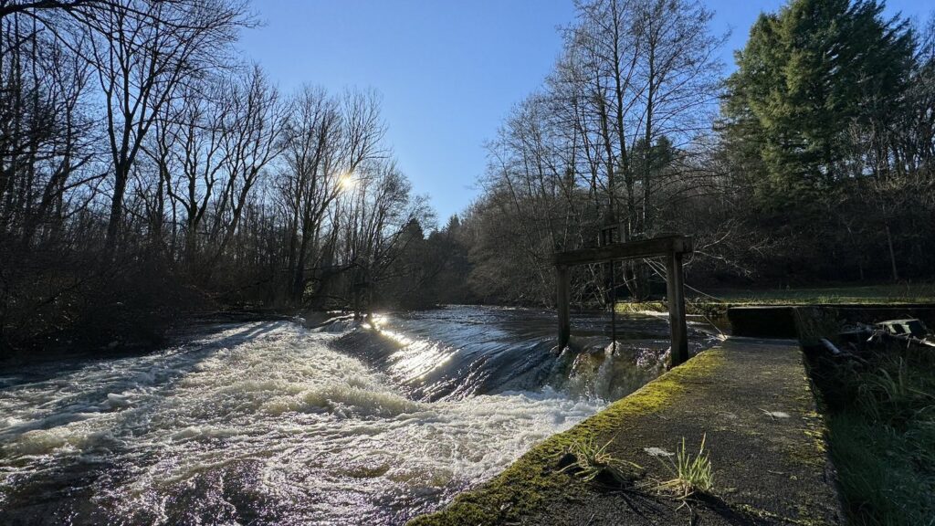 riviere la cure morvan